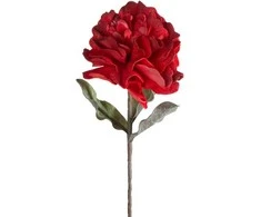 Eurofirany KW/FLORE/874/JUN Raudonas