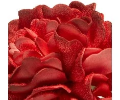 Eurofirany KW/FLORE/874/JUN Raudonas