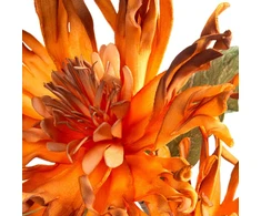 Eurofirany KW/FLORE/887/POM POMA+BR