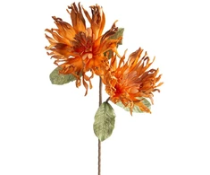 Eurofirany KW/FLORE/887/POM POMA+BR