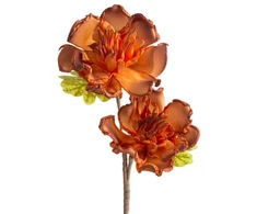 Eurofirany KW/FLORE/889/POM POMA+BR