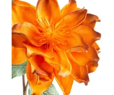 Eurofirany KW/FLORE/890/POM POMA+BR
