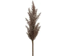 Eurofirany KW/NATU/304/BROWN BROWN