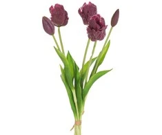 Eurofirany KW/NATU/474/VIOLETĖ VIOLETĖ/PUokštė