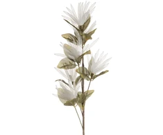Eurofirany KW/ORGANZA/10/PO POPI+ZIEL