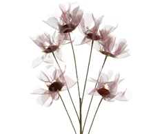 Eurofirany KW/ORGANZA/12/BO BORD