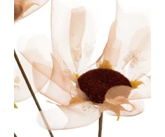 Eurofirany KW/ORGANZA/12/JB J.BR