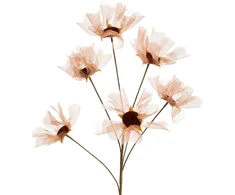 Eurofirany KW/ORGANZA/12/JB J.BR