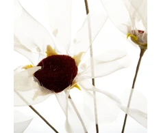 Eurofirany KW/ORGANZA/12/K K