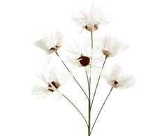 Eurofirany KW/ORGANZA/12/K K