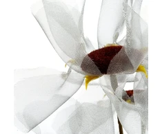 Eurofirany KW/ORGANZA/12/SR SREB