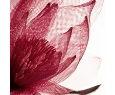 Eurofirany KW/ORGANZA/2/BOR BORD