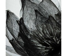 Eurofirany KW/ORGANZA/2/JUODA JUODA