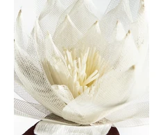 Eurofirany KW/ORGANZA/2/K K
