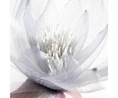 Eurofirany KW/ORGANZA/2/POP POPI