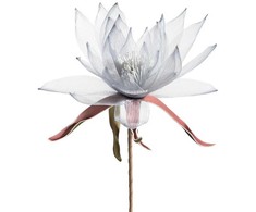 Eurofirany KW/ORGANZA/2/POP POPI