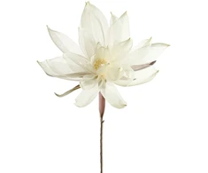 Eurofirany KW/ORGANZA/3/K K