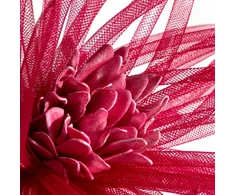 Eurofirany KW/ORGANZA/4/BOR BORD