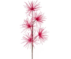 Eurofirany KW/ORGANZA/5/BOR BORD