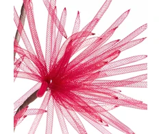Eurofirany KW/ORGANZA/5/BOR BORD