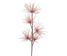 Eurofirany KW/ORGANZA/5/BR BRĄZ