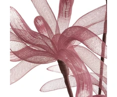 Eurofirany KW/ORGANZA/7/FIO FIOL