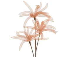 Eurofirany KW/ORGANZA/7/J.B J.BRĄZ