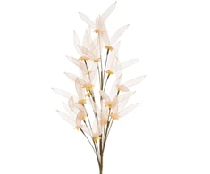 Eurofirany KW/ORGANZA/9/BEŻ BEŻO