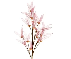 Eurofirany KW/ORGANZA/9/FIO FIOL