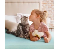 Eurofirany TRANS/DINA/DARK Raudonas 160X210