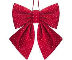 Eurofirany SW/OZD/681 22X28CM CZER