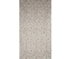 Eurofirany Euro užuolaidos ZAS/KORNELIA/J.B 140X250 TRANS