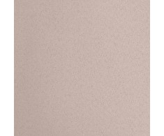 Eurofirany LOGAN blackout tipo temdanti naktinė užuolaida, 140X270 cm, kilpos / žiedai, spalva: pudros