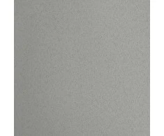 Eurofirany LOGAN blackout tipo temdanti naktinė užuolaida, 140X270 cm, kilpos / žiedai, spalva: sidabrinė