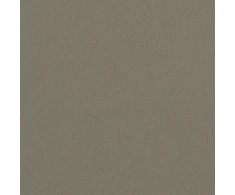 Eurofirany NERISA dimout tipo audinio užuolaida, 140 x 250 cm, žiedai/kilpos, spalva: tamsaus smėlio