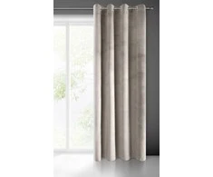 Eurofirany Užuolaidos PIERRE / BEIGE 140X250 PAKEITIMAS