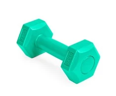 Fitneso hantelių rinkinys ModernHOME, žalias, 2 x 0.5kg