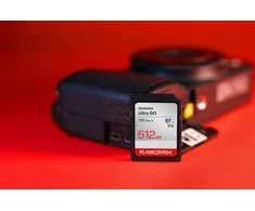 Atminties kortelė SanDisk Ultra GO SDHC 256 GB Class 10 UHS-I V10