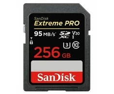 Atminties kortelė MEMORY SDXC 256GB UHS-1/SDSDXXD-256G-GN4IN SANDISK