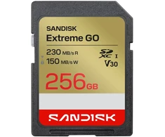 Atminties kortelė MEMORY SDXC 256GB UHS-I/SDSDXGN-256G-GNCIN SANDISK