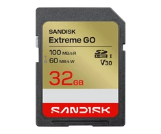 Atminties kortelė SanDisk Extreme GO 32 GB SDHC UHS-I