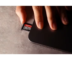 Atminties kortelė SanDisk Ultra GO 256 GB microSDXC UHS-I