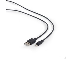 KABELIO ŽAIBAS Į USB2 3M/CC-USB2-AMLM-10 GEMBIRD