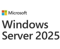 Microsoft OEM win svr cal 2025 įrenginys eng 1clt ep2-25225