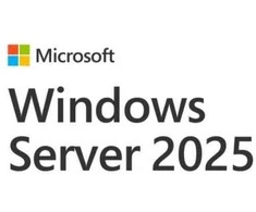 „Microsoft Windows Server 2025 Standard 1“ licencija(-os)