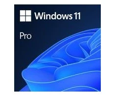 Microsoft 1x Windows 11 Pro GGK 64-Bit DVD OEM English International (EN)