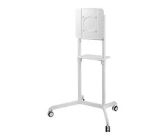 Laikiklis „Neomounts NEWSTAR“ MOBILUSIS PLOKŠČIAEKRANIO GRINDŲ STOVAS (AUKŠTIS: 160 CM) 37–70" Baltas