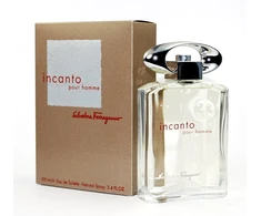 Salvatore Ferragamo Incanto pour Homme (Kvepalai vyrams) EDT 100ml