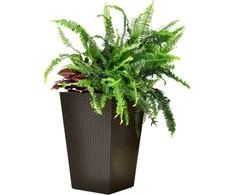 Curver Rattan Planter M 55,4 L ruda 228975