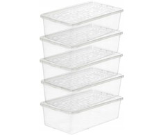 Moteriška batų dėžė Plast Team Basic 5 vnt.